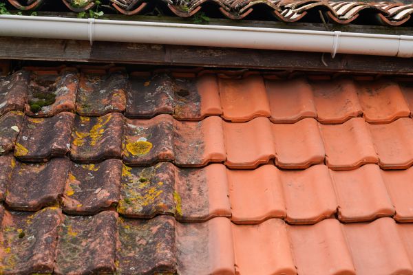 Industrial Roof Cleaning in Madison